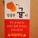 바티 | [제주한라봉]바티가다 노지 한라봉 4.5kg 후기｜해풍 맞은 서귀포 한라봉, 과즙 가득한 제철 과일