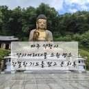 여래로 | 파주 약천사 후기｜약사여래대불 앞에서 간절히 소원 빌고 온 하루