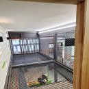 상원초등학교 이미지