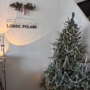 로쏘폴라레 | 미사 브런치 어디 갈까? 분위기까지 좋은 로쏘폴라레 후기