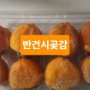 보금농장 네이버블로그