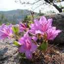 경주남산(포석정-금오산-삼릉) 동기생 나들이(13.05.04)