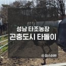 섬말농장 | 성남 타조탈출 곤충도시 타돌이가 너였니?