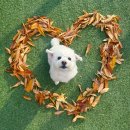 구산로10번길R | 아직도 난 2025년 11월 . . 💭