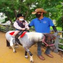 동산어린이집 이미지