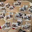 청려원 반려동물 센터 이미지