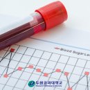대학과취업
