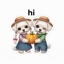 건강백세 | 카페인 걱정 없이 즐기는 건강한 습관, 유니드백세 동충하초 늙은호박차 솔직 후기! (늙은호박차, 티백차)