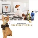 또하나의가족 이미지