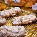 코코테로 이미지