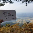 용인대단재태권도 이미지