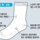 파마시쿱약사협동조합연합회 이미지