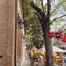 도이 | 치앙마이 야간 도이수텝 왓우몽사원 투어 후기 | 픽업 지점 꿀팁 예약