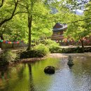 똥줄 바짝탄 김용현... 조은석 직격탄, 재판부 교체 'ㅈ됐다!'ㅋ, 재판부 기피신청 '나 다시, 지귀연 품으로 ㄱㄱ!', 명백한 빼박 이미지