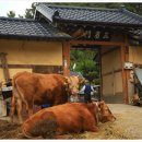 미륵원지 이미지