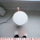 밸류스팜