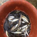 수성 민박 이미지