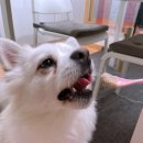 이도메디 이미지