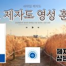 영성유통