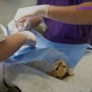 노상훈성형외과의원 이미지