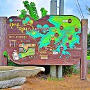 한방웰니스마을 이미지