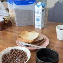 강릉아리솔게스트하우스 네이버블로그