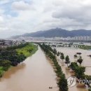 낙동강관리본부 대저생태공원 5 이미지