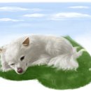 봄강아지