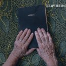 실로암의료재단 이미지