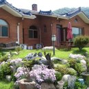 강가에 청기와집 민박 이미지