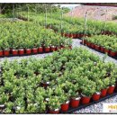 잘커농장 이미지