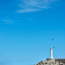 이레세차장 | [울릉도 여행 꿀팁] 이건 꼭 준비하세요! 울릉도 여행 전 체크해야 할 6가지!!!(강릉항셔틀, 투어패스...