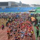 인터넷 신문 논산포커스 딸기마라톤대회논마클홍보자료 이미지