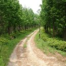 서림공원 1 이미지