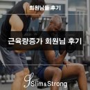 슬림 앤 벌크 | [슬림앤스트롱 후기] 체중증가(벌크) 후기(방배역 헬스)