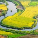 대하부동산중개사무소 이미지