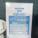 라온조아
