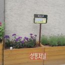 성수2가제1동주민센터 이미지