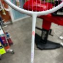 아펙스 | <더제일스포츠>다양한 배드민턴채 보유하고 있는 아펙스대리점후기:)!!