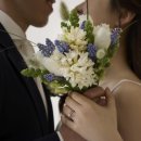 민주스튜디오 이미지