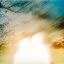 (주)리즈네트워크 이미지