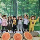 나무야놀자 이미지