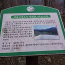 영동목장 이미지