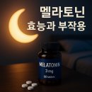 요가(심화야간) | 멜라토닌, ‘잠의 호르몬’의 모든 것