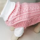 댕댕이,봄 이미지