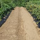 신바람농장 이미지