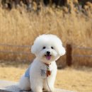 어울림근린공원 이미지