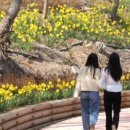 산림욕장 이미지