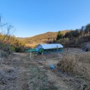 남선 농장 이미지