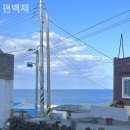편백채 - 15703 | 편백채